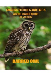 Barred Owl: Amazing Pictures and Facts about Barred Owl