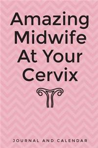 Amazing Midwife at Your Cervix