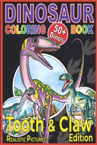 Dinosaur Coloring Book