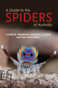 Guide to Spiders of Australia
