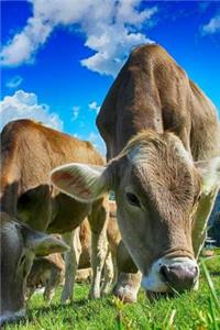 Cows Notebook