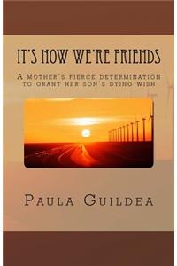 It's Now We're Friends: A Mother's Desperate Journey, to Fulfil Her Son's Dying Wish