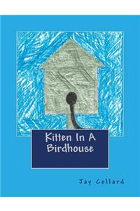 Kitten In A Birdhouse