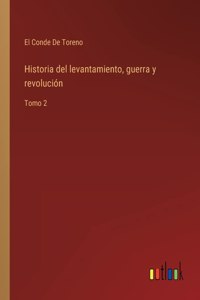 Historia del levantamiento, guerra y revolución