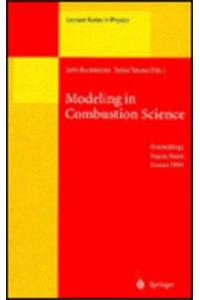 Modeling in Combustion Science