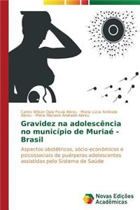 Gravidez na adolescência no município de Muriaé - Brasil