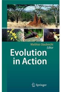 Evolution in Action