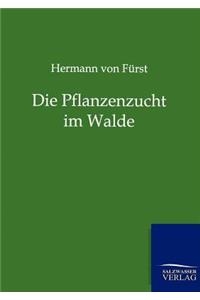 Die Pflanzenzucht im Walde