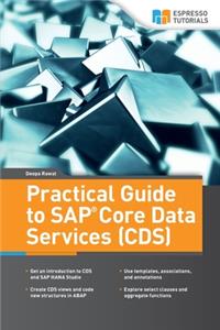 Practical Guide to SAP Core Data Services (CDS)