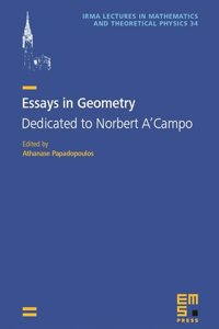Essays in Geometry