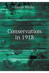 Conservation in 1918