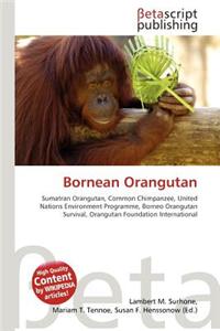 Bornean Orangutan