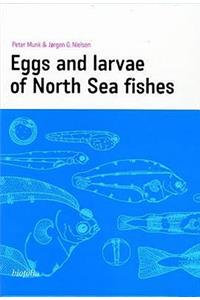 Eggs & Larvae of North Sea Fishes