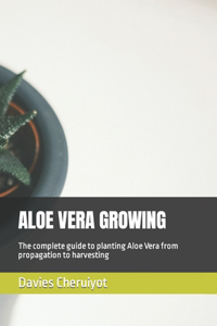 Aloe Vera Growing