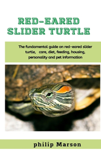 Red-Eared Slider Turtle