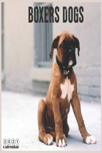 Boxers Dogs 2021 Calendar