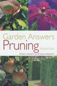 Pruning