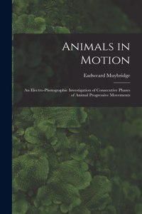 Animals in Motion