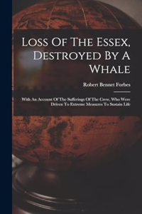 Loss Of The Essex, Destroyed By A Whale