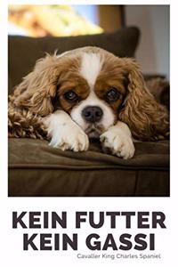 Kein Futter Kein Gassi Cavaller King Charles Spaniel