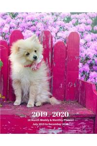 2019 - 2020 18 Month Weekly & Monthly Planner July 2019 to December 2020