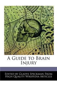 A Guide to Brain Injury