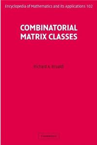 Combinatorial Matrix Classes