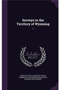 Surveys in the Territory of Wyoming ..