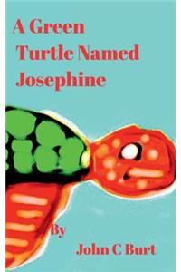 A Green Turtle Named Josephine.