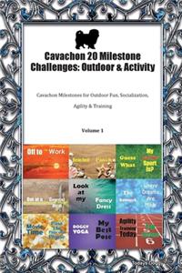 Cavachon 20 Milestone Challenges