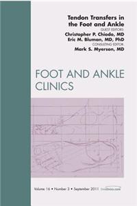Tendon Transfers in the Foot and Ankle, an Issue of Foot and Ankle Clinics