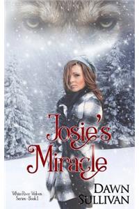 Josie's Miracle