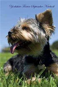 Yorkshire Terrier September Notebook Yorkshire Terrier Record, Log, Diary, Special Memories, To Do List, Academic Notepad, Scrapbook & More