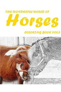 The Wonderful World of Horses