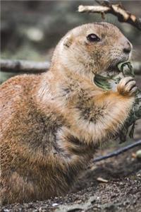 Standing Ground Squirrel Journal