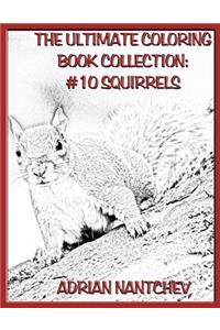 The Ultimate Coloring Book Collection #10 Squirrels