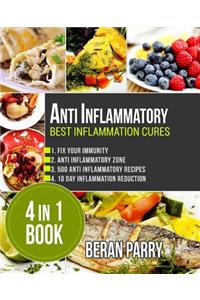 Anti Inflammatory