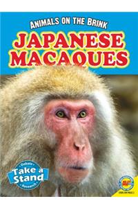 Japanese Macaques