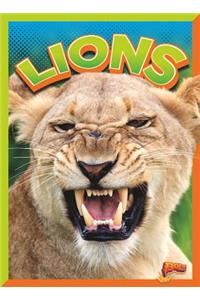Lions
