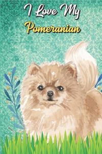 I Love My Pomeranian