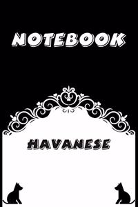 Havanese Notebook