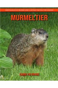 Murmeltier