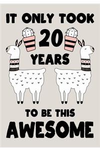 It only Took 20 Years To Be This Awesome