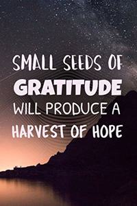 Small Seeds of Gratitude Will Produce a Harvest of Hope