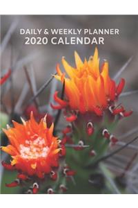 2020 Planner, Year Daily Weekly Calendar Planner with Cactus Flower