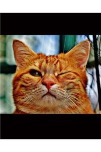 Kitty Cat Wink, and Look, He's Winking at You! Dot Grid Bullet Journal