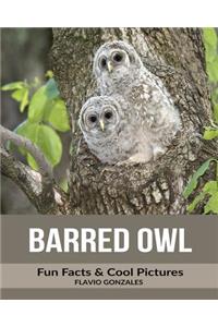 Barred Owl: Fun Facts & Cool Pictures