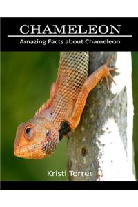 Amazing Facts about Chameleon