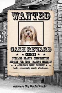 Havanese Dog Wanted Poster