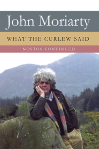 What the Curlew Said